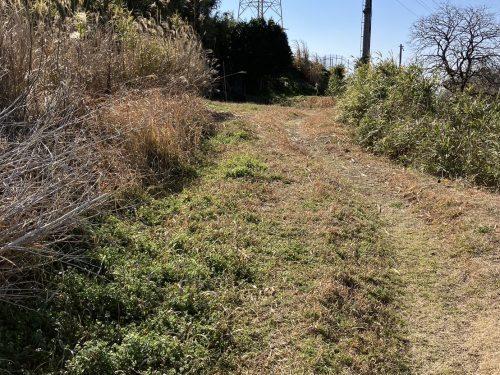 売地 鹿児島市若葉町